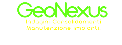 logo geonexus